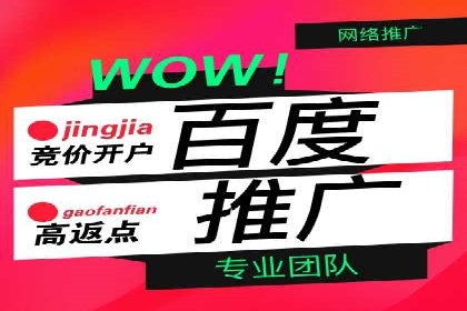 百度推广实战：案例分享与效果评估